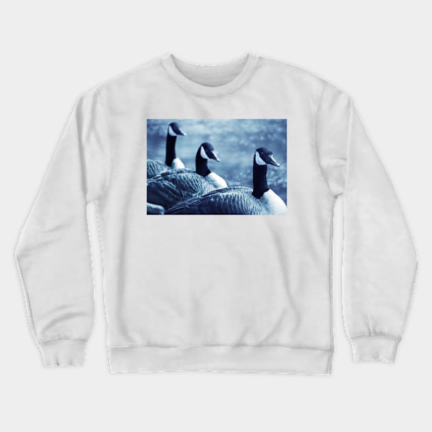 All In a Row... Crewneck Sweatshirt by LaurieMinor